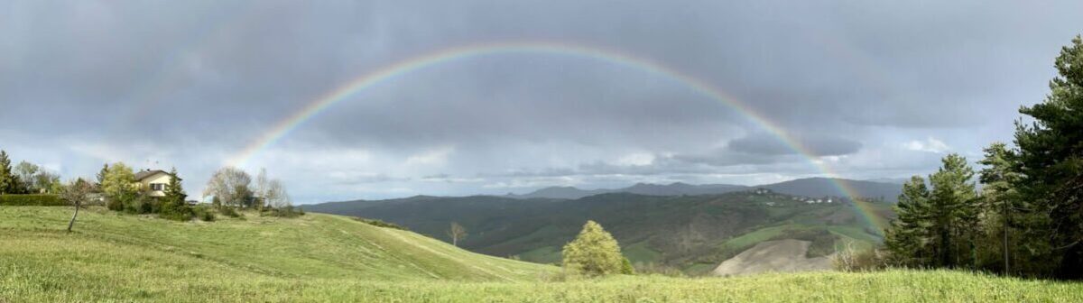Il tempo della raccolta